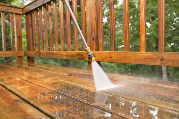 Best Roof Power Washing Services  in Kenyon, MN