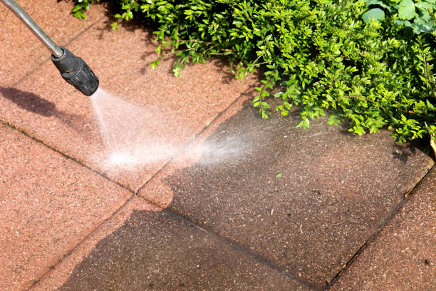 Reliable Kenyon, MN Pressure Washing Solutions